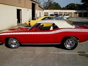 Buddie's Cuda'