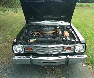 1976 Plymouth Duster Pictures of purchase/What I'm starting with
