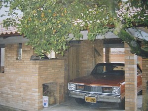 1979 Dodge Dart 318 V8