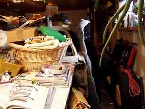 73, Plymouth, 340 Duster 1-2010