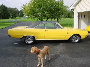 67 Dodge Dart GT