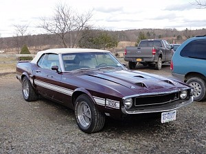 Shelby GT500 Convertible