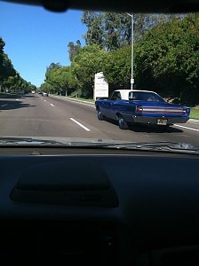 Spotted out and about