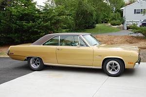 Scamp -the one I should have kept