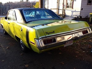 71 Scamp aka Shrimp Scampi