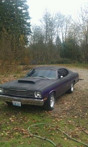 73 duster