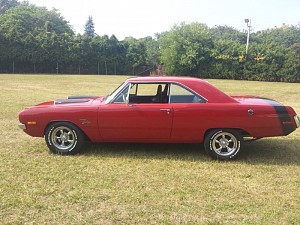72 dart swinger