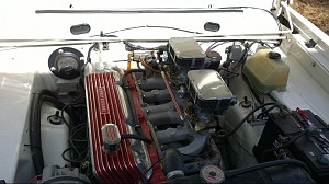 freds 1966 Plymouth valiant