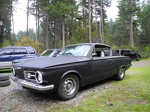 65 Barracudas