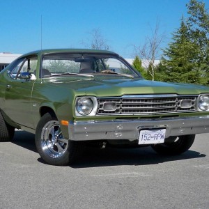 Duster denovo pictures