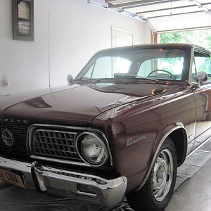 Small fish in big pond!