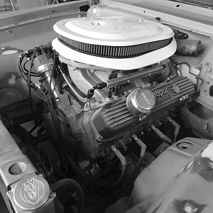 Body and Paint 47.jpg