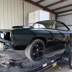 Body and Paint 78.jpg