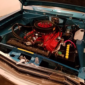 20160917_235344 (1).jpg