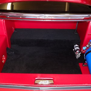 trunk3 004.JPG