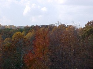 ColorsAblazeOct162004.jpg ColorsAblazeOct162004.jpg