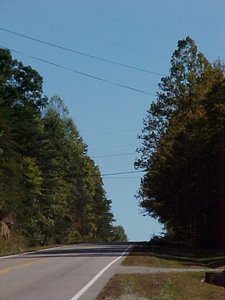 fallshadows.jpg fallshadows.jpg