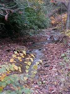 WateralongRt16.01.JPG WateralongRt16.01.JPG