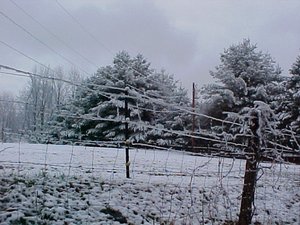 dec20thsnowscene.jpg dec20thsnowscene.jpg