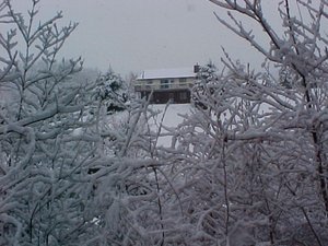 March30SureDontLookLikeSpring.jpg March30SureDontLookLikeSpring.jpg