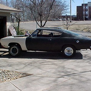 barracuda sees light of day!