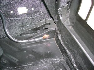 Ground, Trunk.JPG Ground, Trunk.JPG