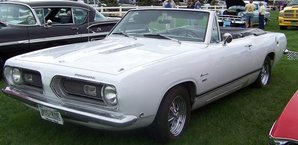 Cuda  (Small).jpg
