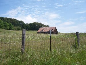 Watoga 2009 054.01.JPG Watoga 2009 054.01.JPG