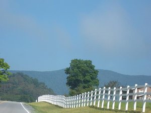 Watoga 2009 110.03.JPG Watoga 2009 110.03.JPG