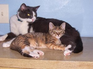 Snickelfritz 012.004.JPG Snickelfritz 012.004.JPG