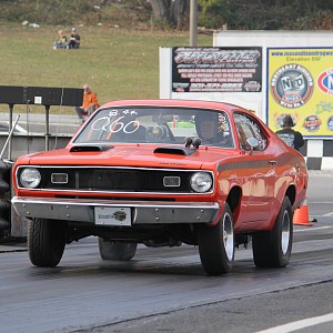 CORNISH HEN RACE 301.jpg