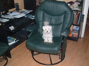 Computer Repair Ken Slater 031.jpg Computer Repair Ken Slater 031.jpg