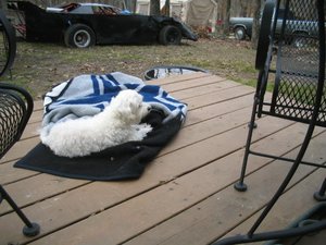 bbbb4 056.jpg bbbb4 056.jpg