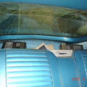 2015-06-08 photo 1 013.JPG