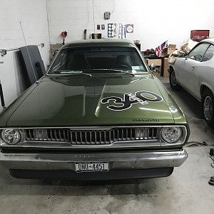 crazy 340  Collection