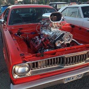 More of Mark's pictures