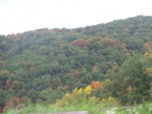 Clay Park3.jpg Clay Park3.jpg