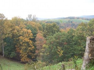 Clay Park 5.jpg Clay Park 5.jpg