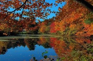 Fall On THe Elk RIver.01.JPG