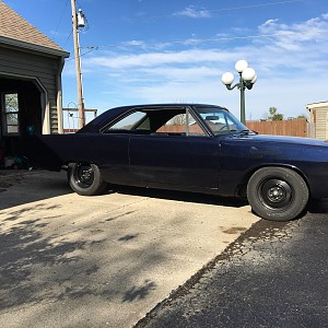 68 dart "Hazel"