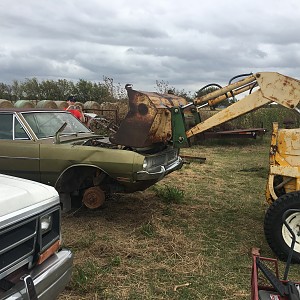 IMG_1376.JPG IMG_1376.JPG