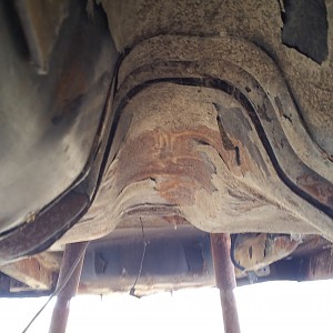 Under Side - Rear 1.jpg