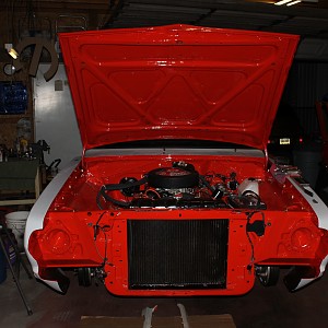 IMG_4384.JPG IMG_4384.JPG