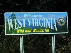 Wild and Wonderful.jpg