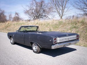 000_0503.jpg 000_0503.jpg