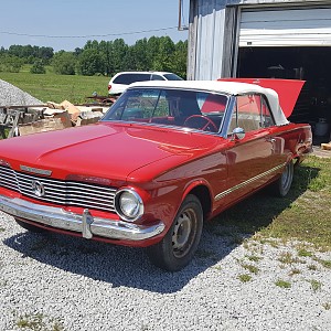 20170526_104850 - Copy.jpg