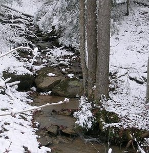 Snowy Sunday1.001.JPG