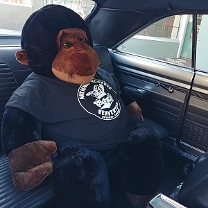 Now that it's mobile