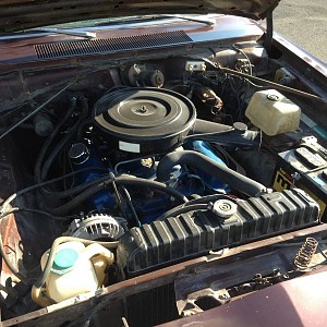 Dart Sport 6 of 7.jpg