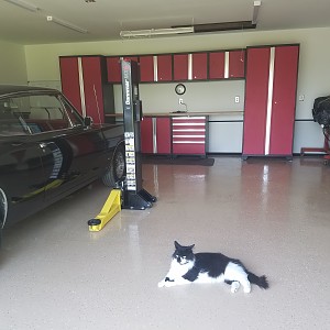 My 67 Barracuda's progression